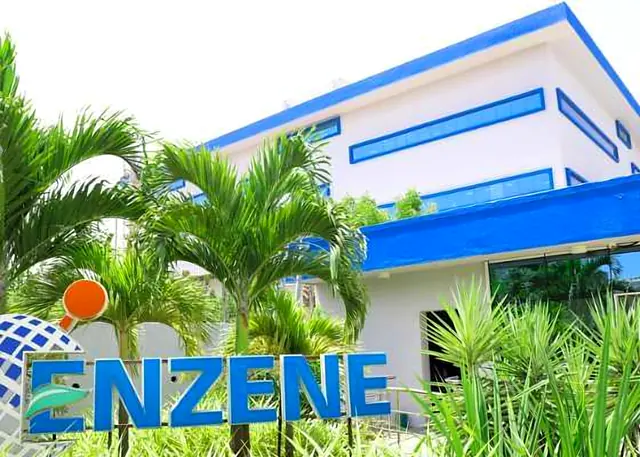 Enzene building behind palm trees