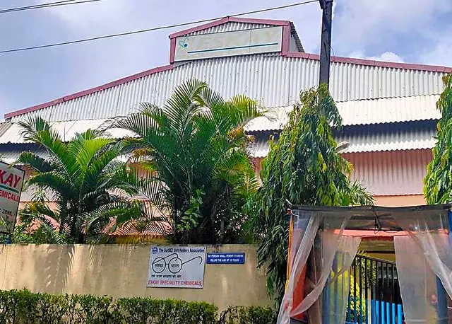 Dyestuff factory behind palm trees