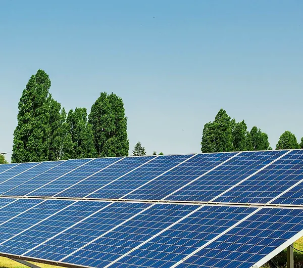 Rows of solar panels